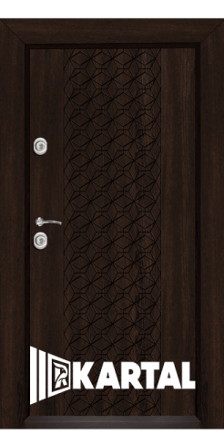 T 1001